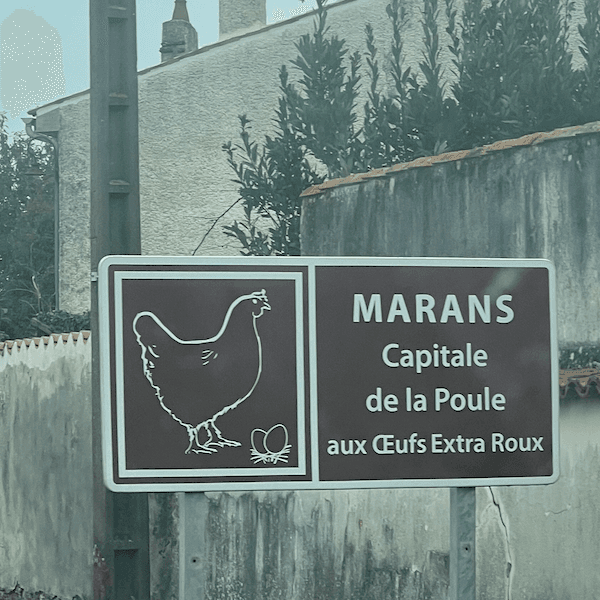 Un panneau Marran capitale de la poule au oeufs extra roux